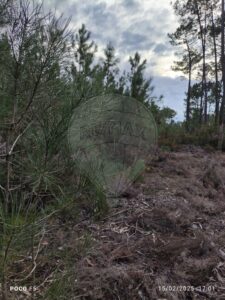 Terreno  à venda em Cantanhede