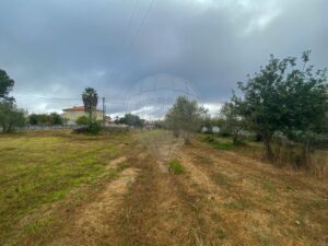 Terreno  à venda em Vimieira