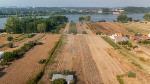 Terreno  à venda em Águeda