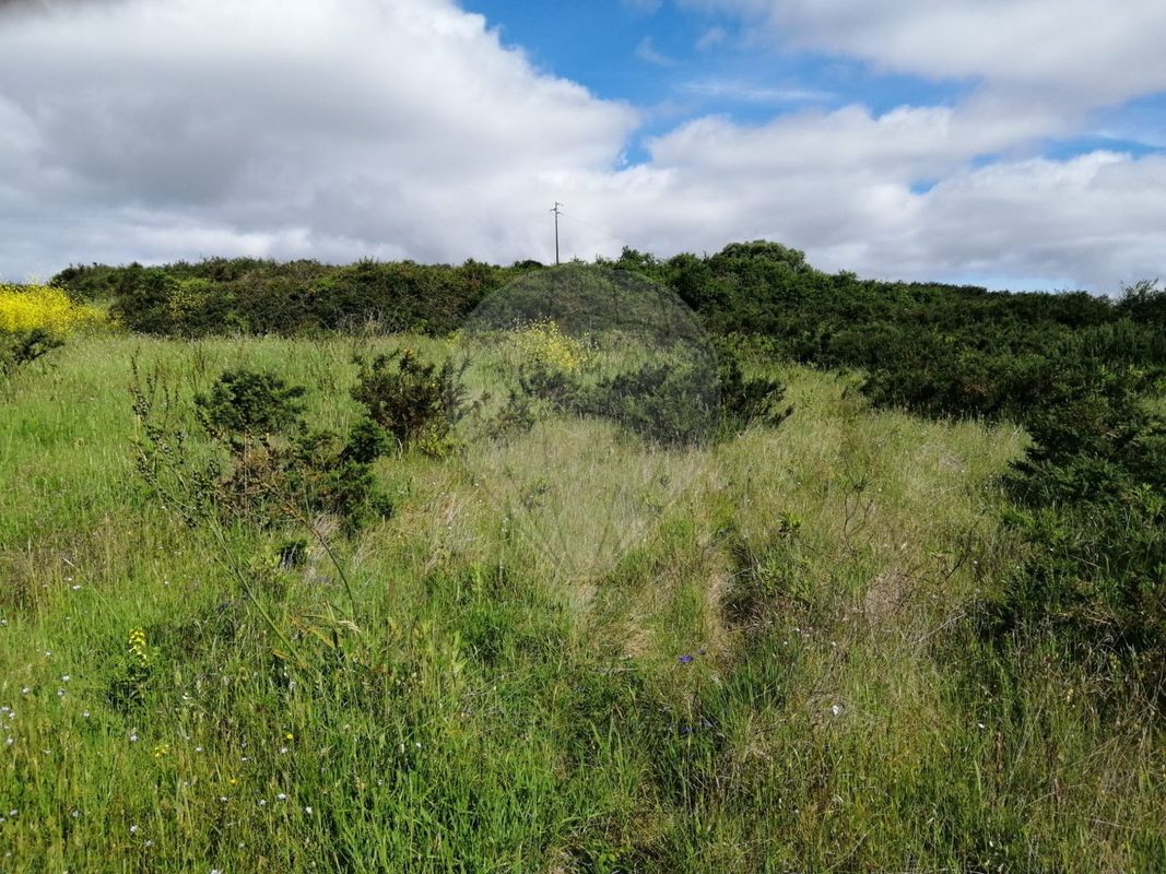 Terreno  à venda em Odrinhas