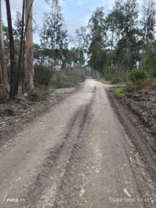 Terreno  à venda em Cantanhede