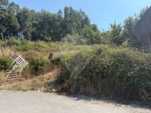 Terreno  à venda em Vale de Cambra