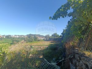 Terreno  à venda em Oliveira de Azeméis