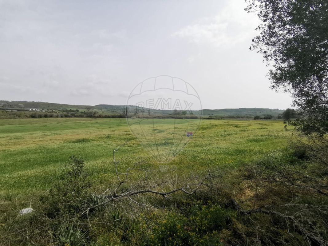 Terreno  à venda em Sabugo