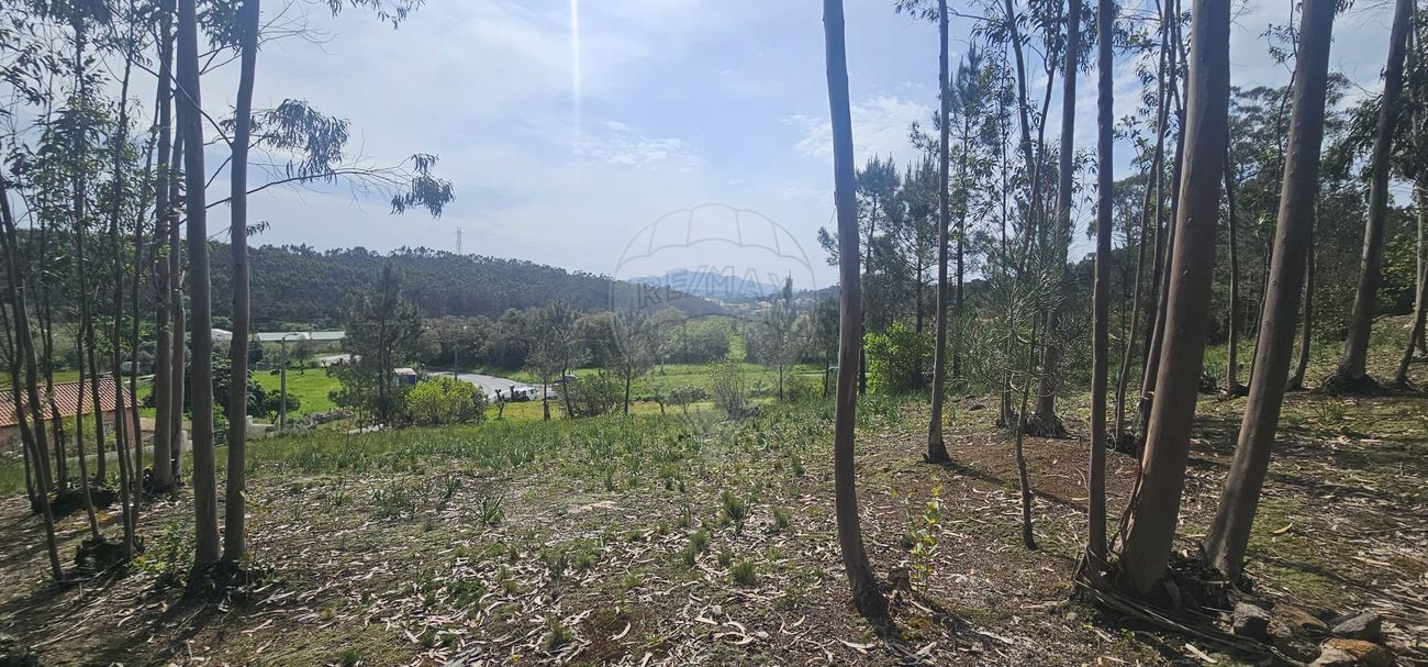 Terreno  à venda em Sintra