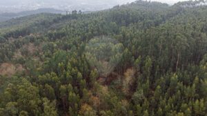 Terreno  à venda em Póvoa de Lanhoso