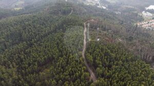 Terreno  à venda em Póvoa de Lanhoso