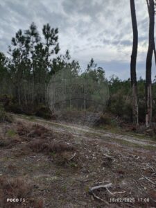 Terreno  à venda em Cantanhede