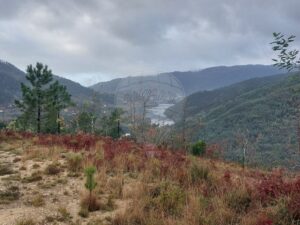 Terreno  à venda em Vieira do Minho