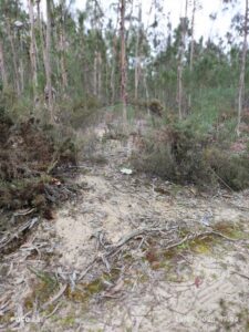 Terreno  à venda em Cantanhede