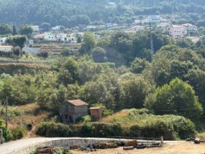 Terreno  à venda em Vale de Cambra